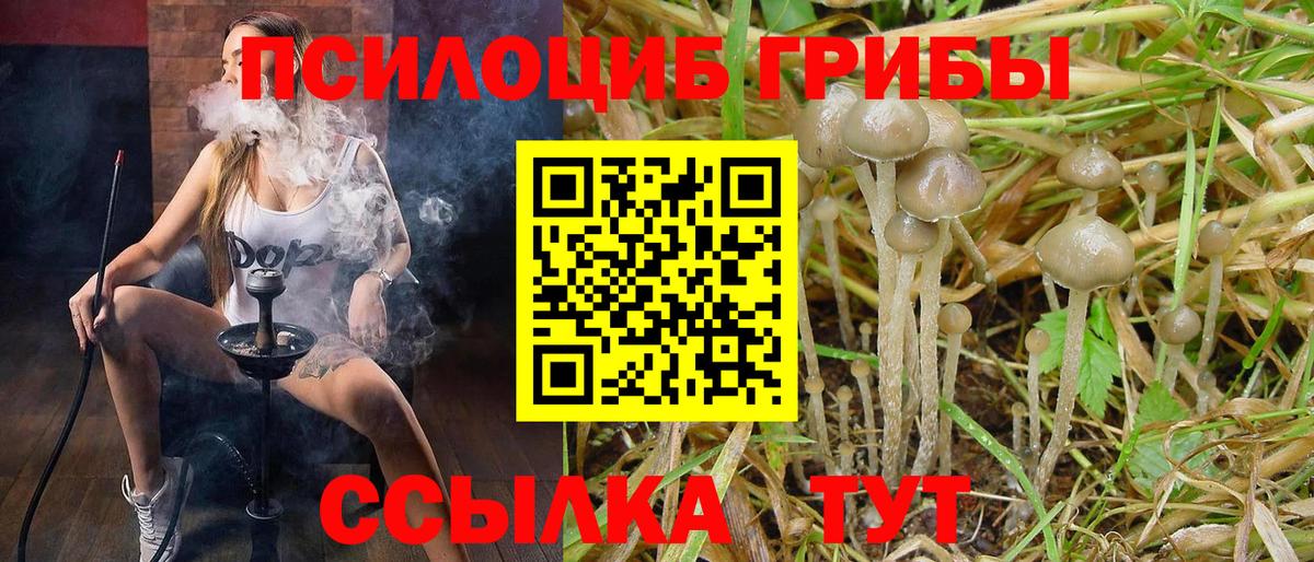 Касимов  Галлюциногенные грибы GOLDEN TEACHER  Галлюциногенные грибы мицелий  Вход с VPN 