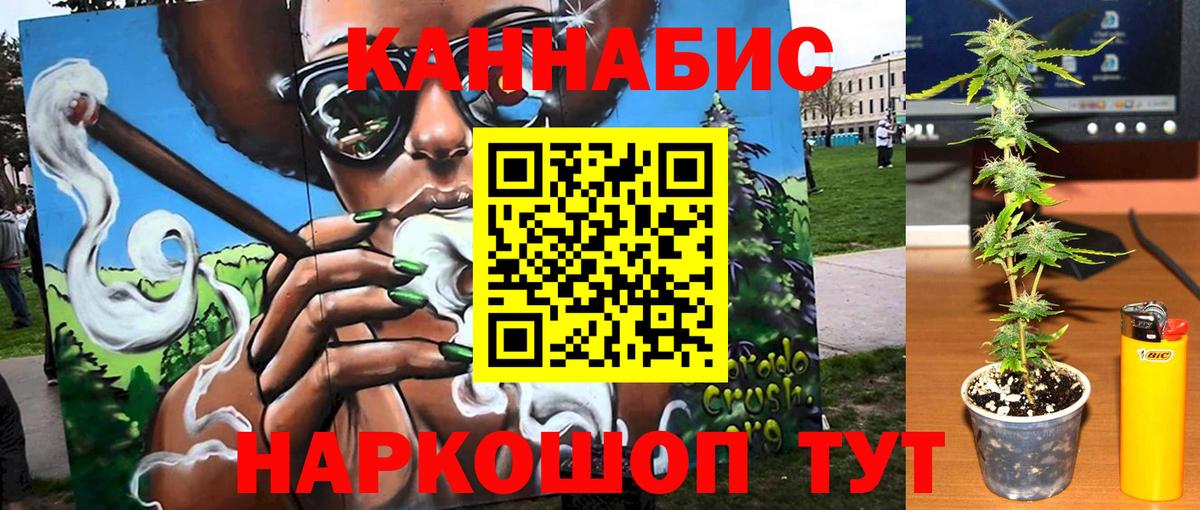 МАРИХУАНА семена Касимов